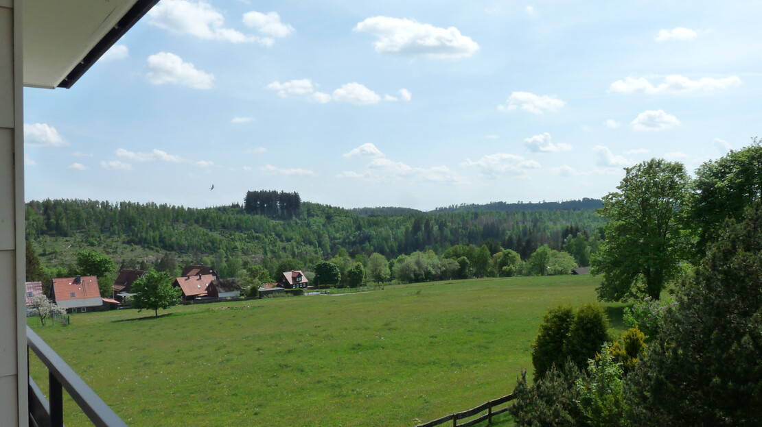 Eigentumswohnung im Harz