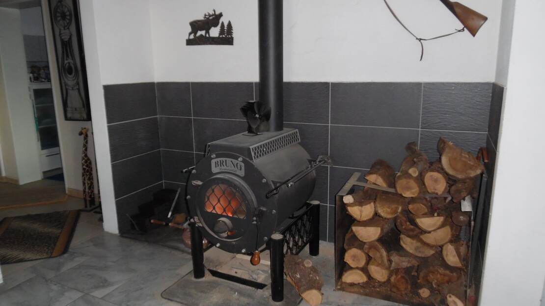 Einfamilienhaus im grünen