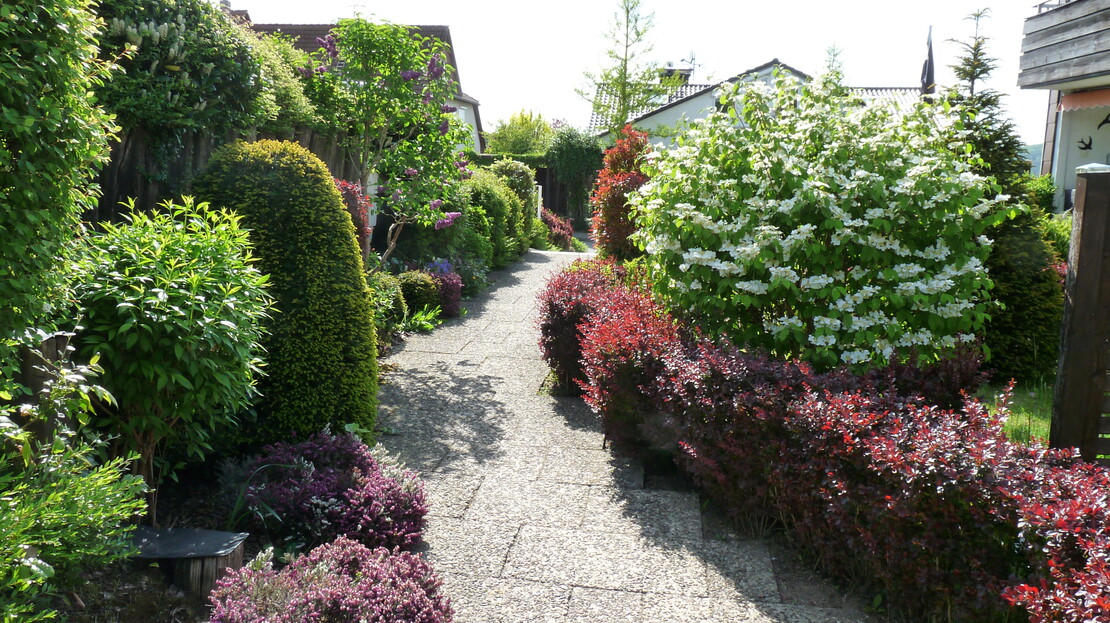Eigentumswohnung im Harz