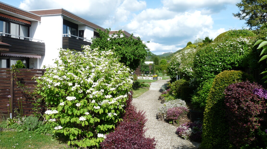 Eigentumswohnung im Harz